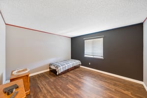 29564042