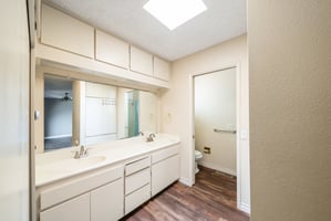 29564057