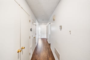 29564027