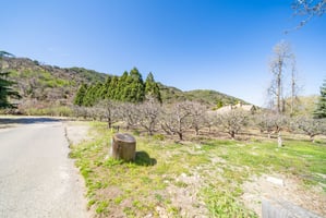 29564301