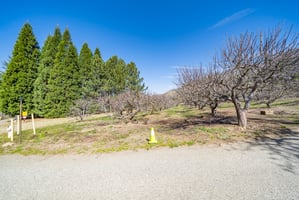 29564298