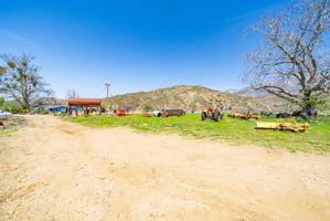 29564319