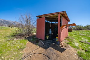 29564318