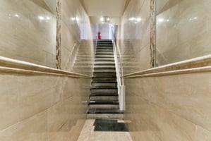 29564528
