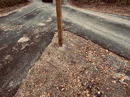 29564696