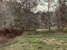 29564703