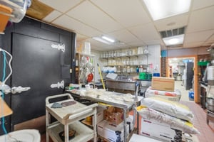 29565064