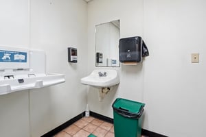 29565029