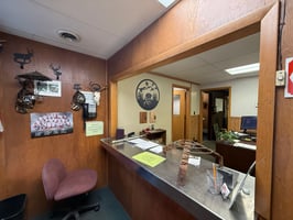 29577492