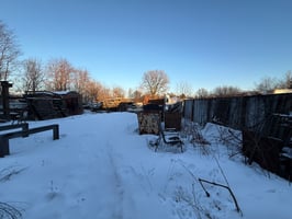 29577494
