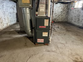 29565544
