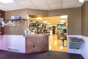 29566481