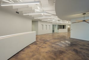 29567041
