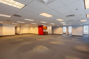 29567068