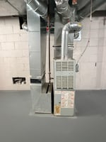 29567341