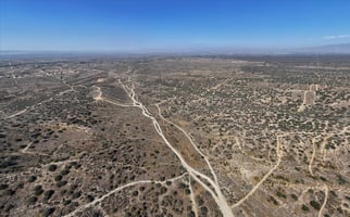 29567745