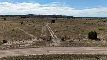 29569062