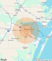 29568862