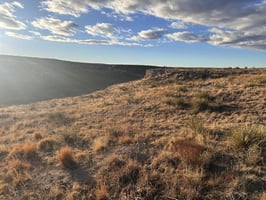 29573631