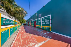 29575341