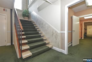 29574238