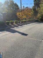 29588367