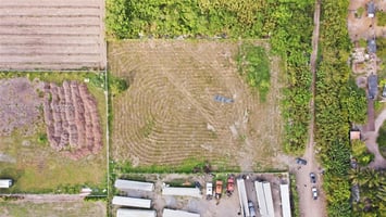 29576485