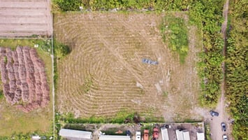 29576482