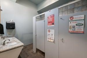 29579839