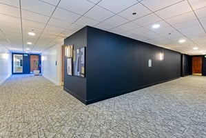 29644884