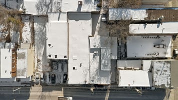 29580242