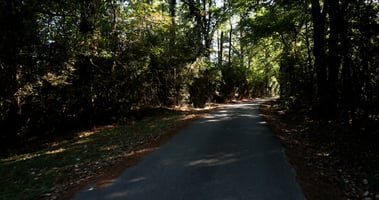 29584401