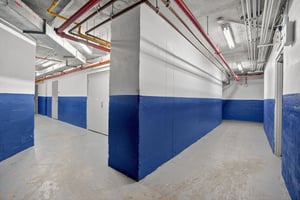 29584851