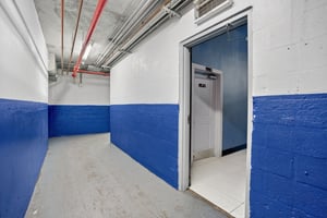 29584850