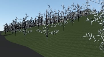 29585483