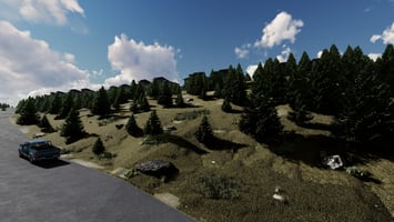 29585477