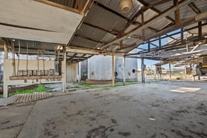 29586101