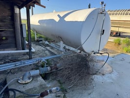 29586117