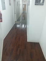29592418