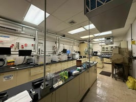 29589026