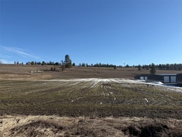 29589596