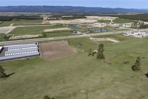 32646317