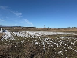 29589594