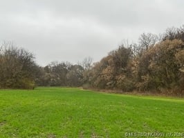29590019