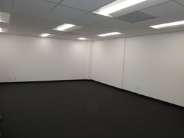29590249