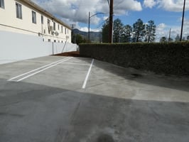 29590244