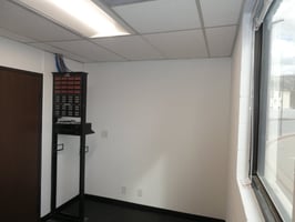 29590254