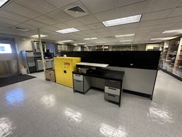 29590294