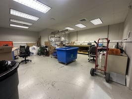 29590302