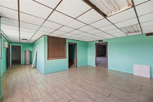 29590519